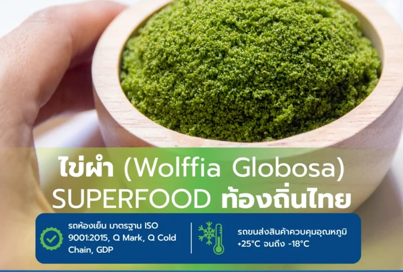 ไข่ผำ-Superfood-Wolffia-Globosa