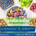รถห้องเย็นขนส่งผลไม้แช่แข็ง